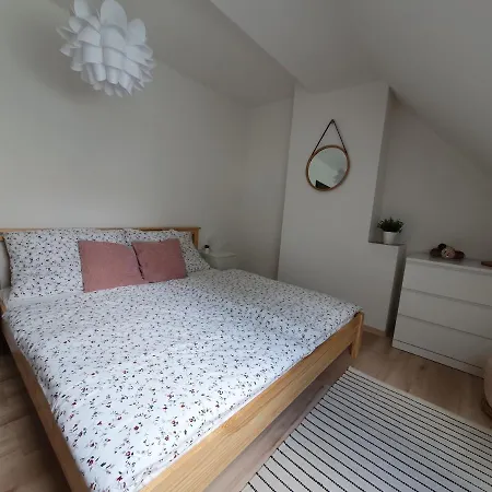 Brachovna * Mikulov v Krusnych Horach